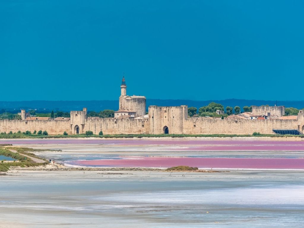 Medieval ramparts of Aigues-Mortes seen from the pink salt marshes