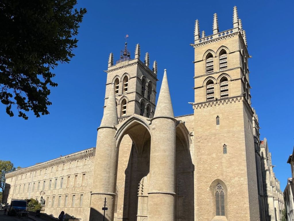 The imposing Gothic façade of Saint Peter's Cathedral in Montpellier, with its massive cylindrical towers and dramatic canopied porch, bathed in warm morning sunlight