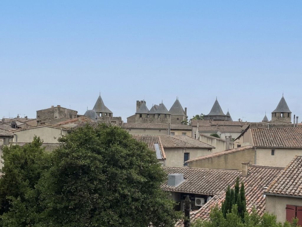 Rooftops of the Cité de Carcassonne with medieval towers rising in the background