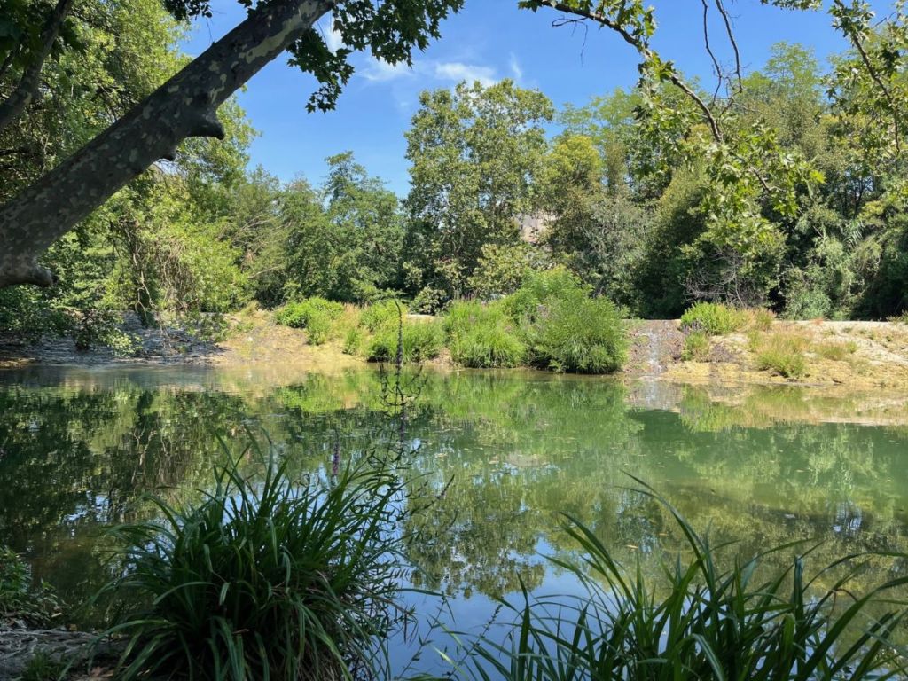 Calm green waters of the Lez river reflecting trees and sky at the Domaine de Méric near Montpellier
