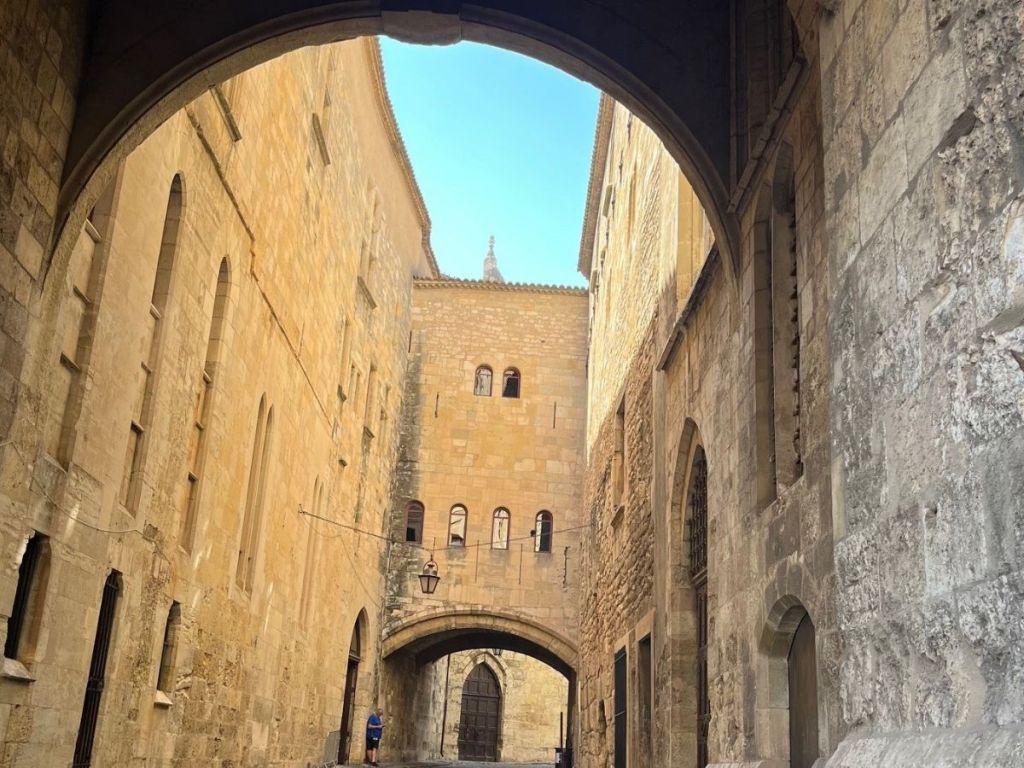 Vaulted Passage de l'Ancre separating the Old and New Palaces of the Archbishops in Narbonne