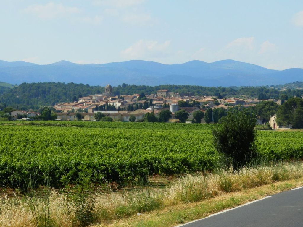 The village of La Livinière surrounded by vineyards