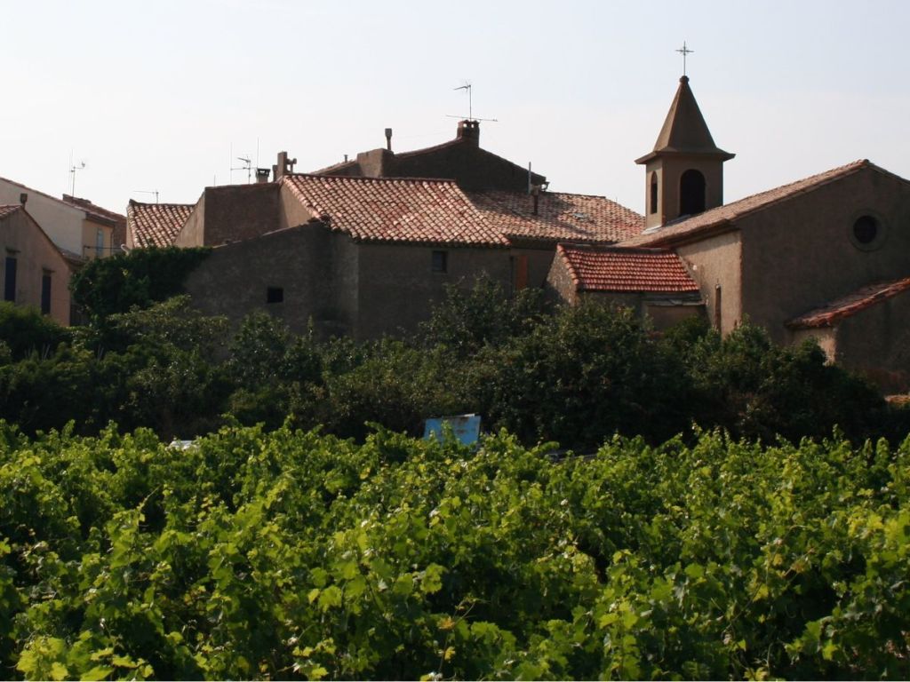 Rooftops, bell tower and vineyards of Saint-Jean-de-Minervois